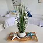 Dolphin Heads - Resort Unit - Absolute Beachfront! - Whitsunday Getaway!