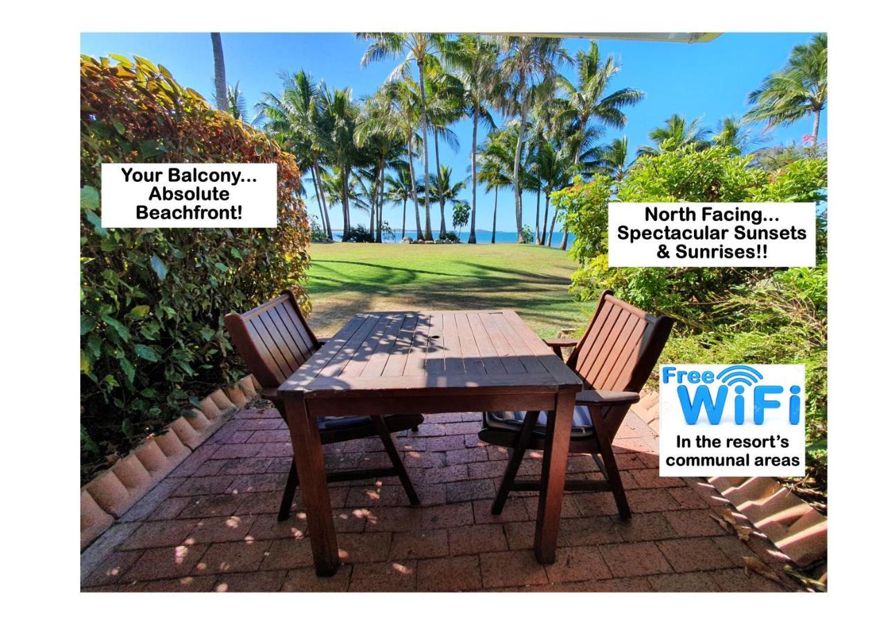 Dolphin Heads - Unit - Absolute Beachfront! - Whitsunday Getaway! * Mackay