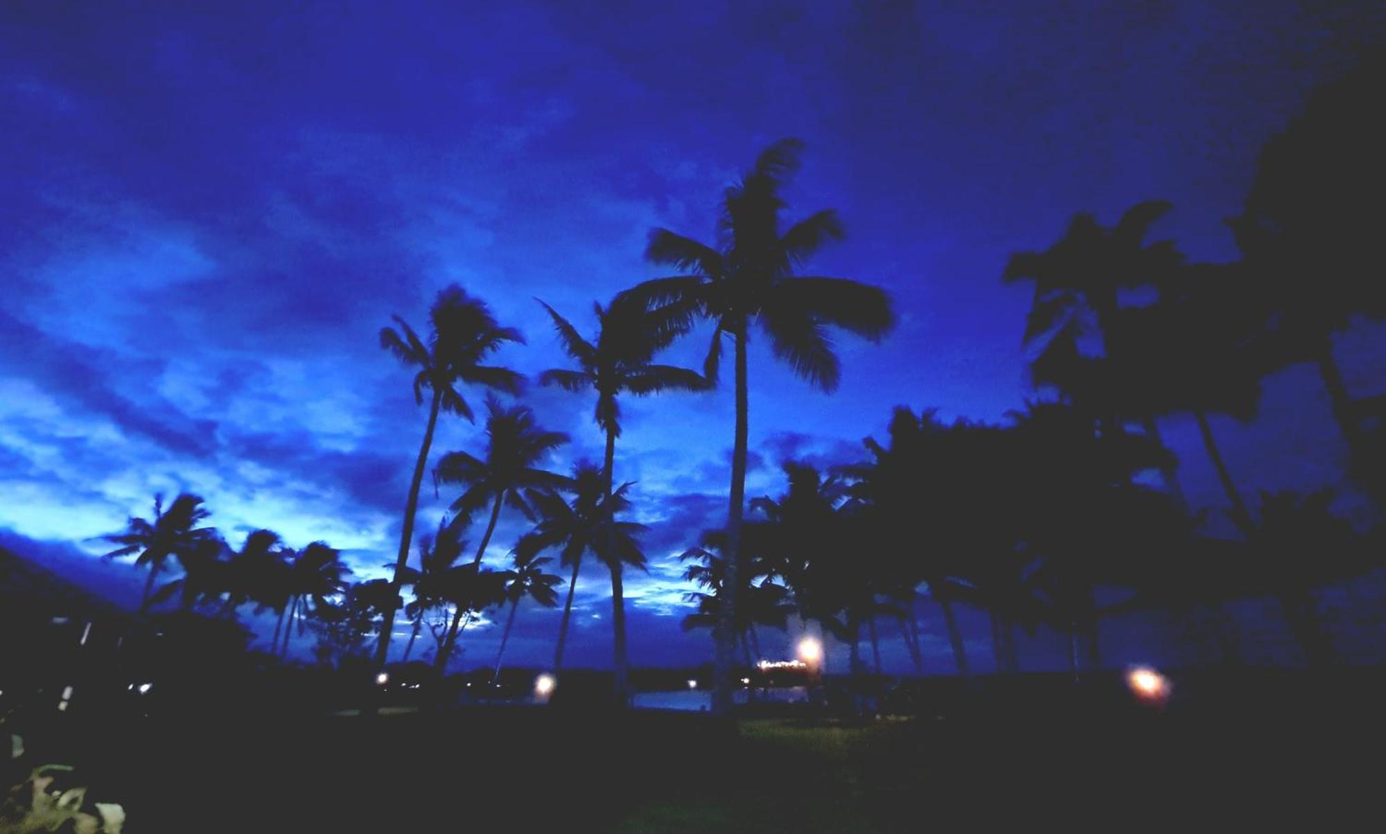 Dolphin Heads - Unit - Absolute Beachfront! - Whitsunday Getaway! * Mackay