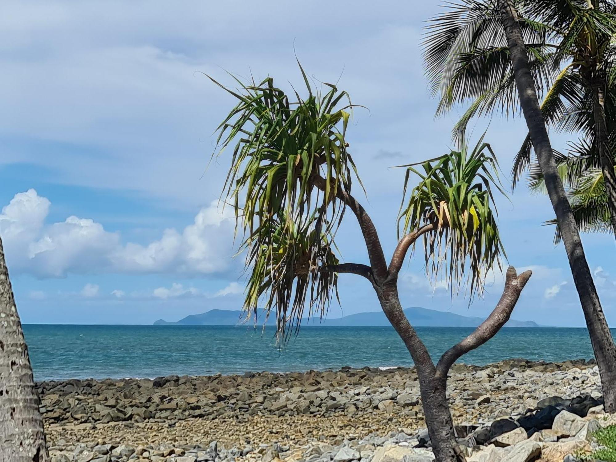 Dolphin Heads - Unit - Absolute Beachfront! - Whitsunday Getaway! Mackay