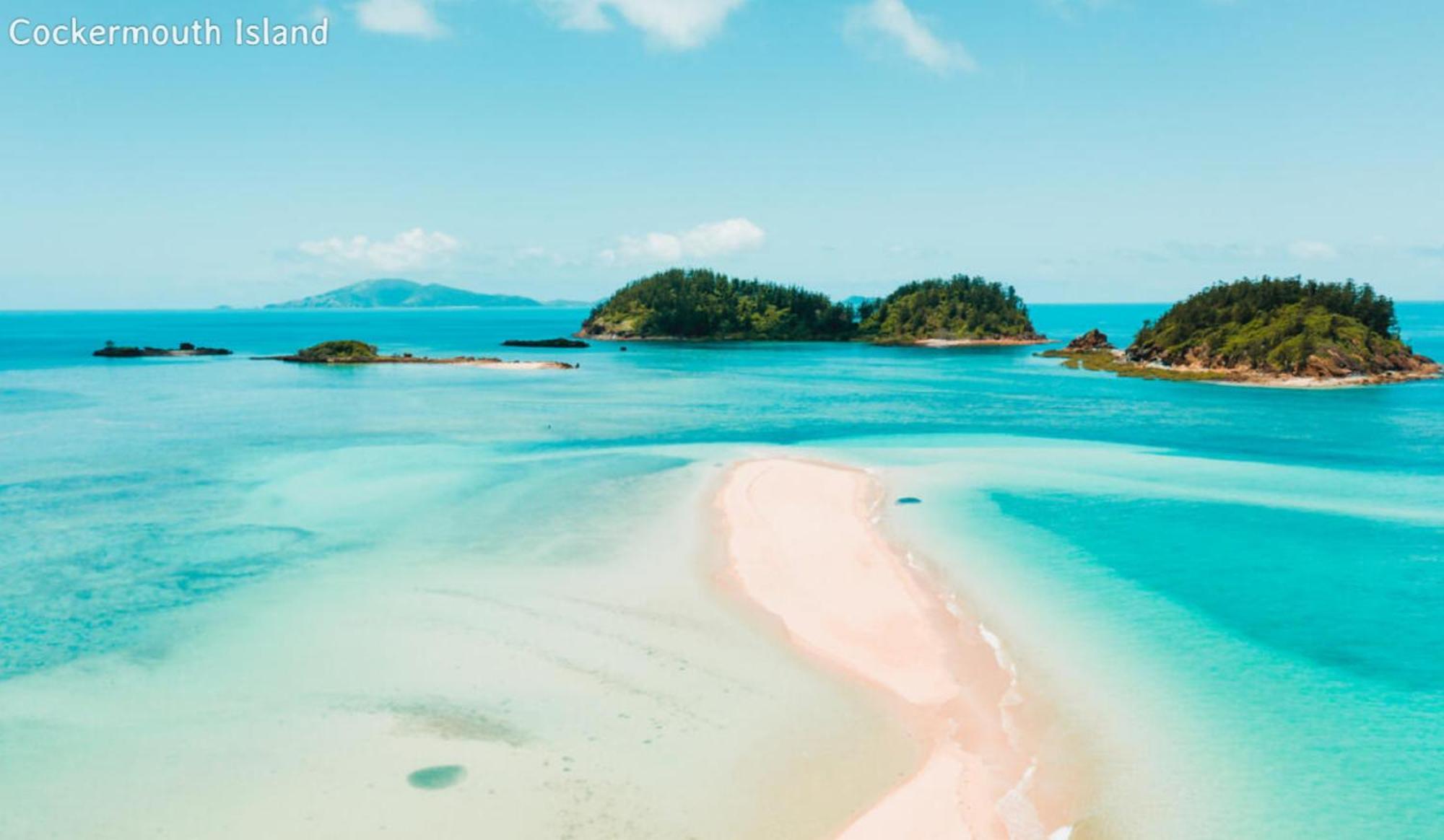 Dolphin Heads - Unit - Absolute Beachfront! - Whitsunday Getaway! *