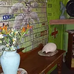 Gecko\'S Rest Budget Accommodation & Backpackers